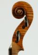 Astonishing Old Violin A.  Pollastri Geige Violon Violine Violino Viola Cond String photo 8