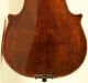 Very Old 4/4 Violin With Label: P.  Pallotta 1792 Geige Violon Cello String photo 6