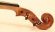 Magnificent Old Italian Violin Tecchler 1721 Geige Violon Violino Violine Viola String photo 9