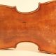 Magnificent Old Italian Violin Tecchler 1721 Geige Violon Violino Violine Viola String photo 7
