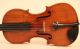 Stunning Old Italian Violin Ceruti 1801 Geige Violon Violino Violine Cello Viola String photo 2