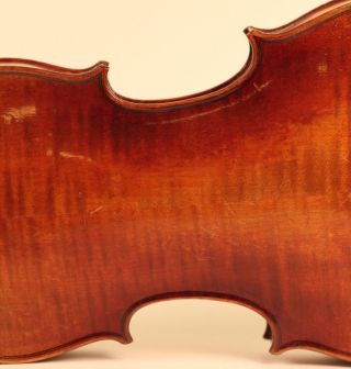 Astonishing Old Italian Violin L.  Bisiach 1922 Geige Violon Violino Violine Viola photo
