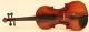 Astonishing Old Italian Violin L.  Bisiach 1922 Geige Violon Violino Violine Viola String photo 1