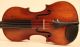 Astonishing Old Italian Violin L.  Bisiach 1922 Geige Violon Violino Violine Viola String photo 2