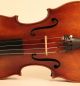 Astonishing Old Italian Violin L.  Bisiach 1922 Geige Violon Violino Violine Viola String photo 4