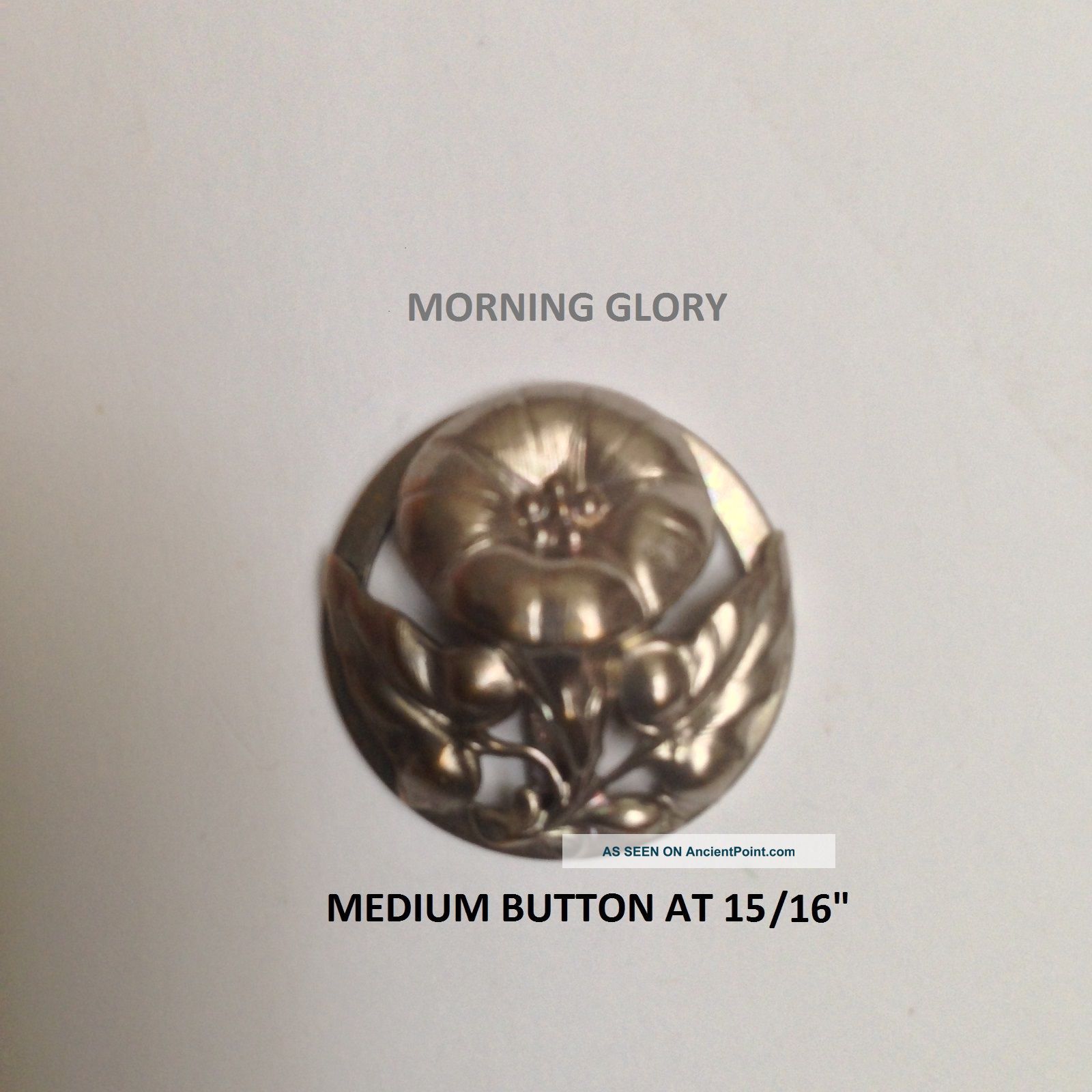 Pretty Medium Antique Button 