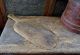 Antique Primitive Long Wooden Bread Board Primitives photo 1