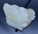 Very Fine 18/19thc Chinese Qing Pure White Hetian Jade Twin Fish Toggle Pendant Vases photo 3