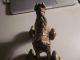 Antique Bronze Horse Temple Toy,  India,  Hindu Other Antiquities photo 5