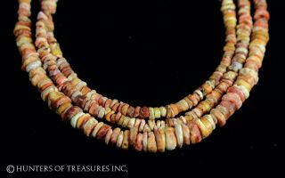 Ancient Pre Columbian Moche Orange Spondyllus Shell Beads Necklace photo