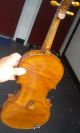 1900 ' S Antique Violin Scroll Carved Tiger Flame Intricate Exquisite String photo 9