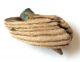 Beach Metal Detecting Find - Bullet In Drift Wood British photo 2