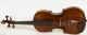 200,  Years Old Italian 4/4 Violin Violon Geige Lab.  : C.  Tononi 1729 String photo 1