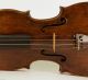 200,  Years Old Italian 4/4 Violin Violon Geige Lab.  : C.  Tononi 1729 String photo 3