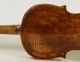 200,  Years Old Italian 4/4 Violin Violon Geige Lab.  : C.  Tononi 1729 String photo 7