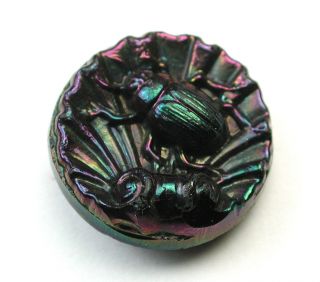 Antique Black Glass Button Beetle On Fancy Sea Shell W/ Carnival Luster Finish photo