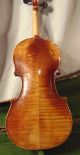 Antique German Antonius Stradiuarius 4/4 Violin W/ Maple Body Estate Fresh String photo 2