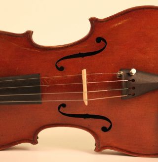 Lovely Old Italian Violin G.  Antoniazzi 1885 Geige Violon Violino Violine Viola photo
