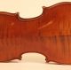 Lovely Old Italian Violin G.  Antoniazzi 1885 Geige Violon Violino Violine Viola String photo 6