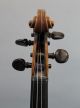 Leopold Anthony Stokowski Antique,  Albin Wilfer,  German 4/4 Figured Maple Violin String photo 2