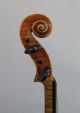Leopold Anthony Stokowski Antique,  Albin Wilfer,  German 4/4 Figured Maple Violin String photo 3