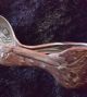 Antique Manchester Mfg Co Baby Feeding Spoon Figural Stork Bent/ Loop/curved Other Antique Sterling Silver photo 5