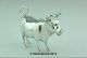 Antique Silver Cow Creamer London Import 1897 Probably Hanau Other Antique Sterling Silver photo 2