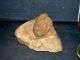 Indian Artifact Grinding Stone Mortar Pestle Metate & Mano Native American photo 2