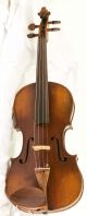 100 Years Old 4/4 Violin With Label: Bassot Geige Violon Cello String photo 1