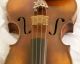 100 Years Old 4/4 Violin With Label: Bassot Geige Violon Cello String photo 3