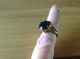 ' Beach Finds ' A Ladies Ring Size N. British photo 1