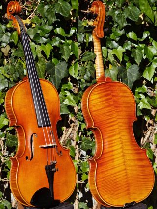 Vintage Czech Violin By Robert Glaser,  Horovice,  1936.  Build & Sound photo