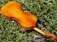 Vintage Czech Violin By Robert Glaser,  Horovice,  1936.  Build & Sound String photo 8