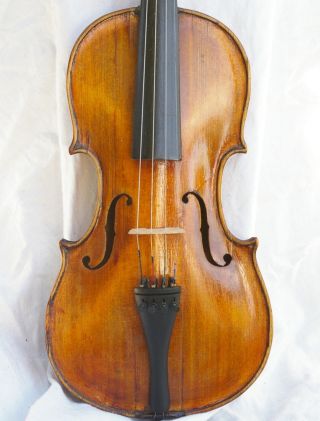 Antique Violin Flamed Back photo