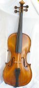 Antique Violin Flamed Back String photo 5