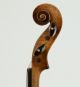 Lovely Old Fine Small Violin Soffritti 1920 Geige Violon Violino Viola Violine String photo 10