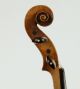 Lovely Old Fine Small Violin Soffritti 1920 Geige Violon Violino Viola Violine String photo 11