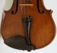 Lovely Old Fine Small Violin Soffritti 1920 Geige Violon Violino Viola Violine String photo 3