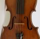 Lovely Old Fine Small Violin Soffritti 1920 Geige Violon Violino Viola Violine String photo 4