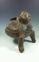 Large,  Pre - Colombian Pottery,  Nayarit Figural Effigy Vessel - Museum Quality The Americas photo 2