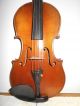 Vintage Old Antique 1 Pc.  Back Violin - String photo 1