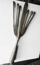 Antique Eel Fish Srear Head Hand Forged C19th Century 14.  5 In Metal 7 Prong Hook Harpoons photo 2
