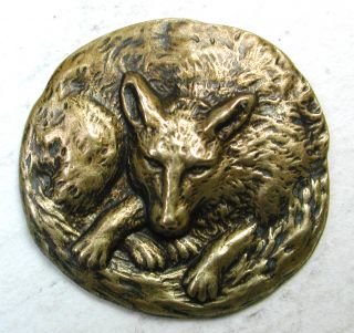 Antique Stamped Brass Button Detailed Curled Up Fox Design photo