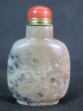 Chinese Natural Coral Fossil Snuff Bottle photo