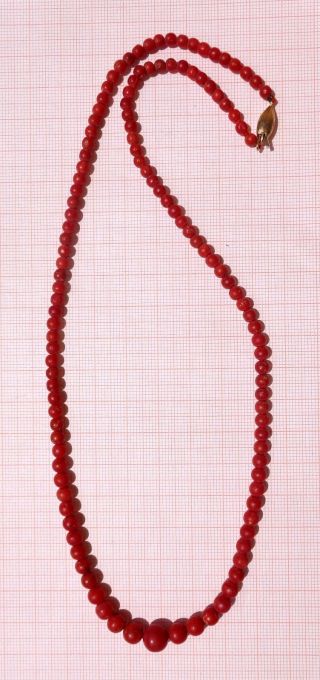 Natural Blood Red Coral Round Beads Necklace With 18k Gold Clasp - 16,  26 Gr. photo