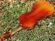 Good Antique Czech Violin By Karel Goll,  Brno.  Colourful & Strong Tone String photo 9
