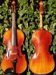 Good Antique Czech Violin By Karel Goll,  Brno.  Colourful & Strong Tone String photo 7