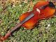 Good Antique Czech Violin By Karel Goll,  Brno.  Colourful & Strong Tone String photo 8