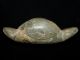 Incredible Double Headed Turtle Effigy 2x Pictured Spiro Leflore Co.  Oklahoma The Americas photo 1