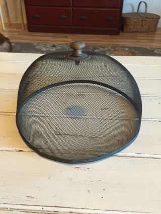 Antique Primitive 19th Century Shoo Fly Screen Dome photo